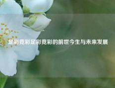 足彩竞彩足彩竞彩的前世今生与未来发展