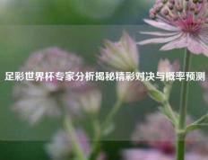 足彩世界杯专家分析揭秘精彩对决与概率预测