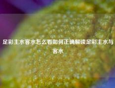 足彩主水客水怎么看如何正确解读足彩主水与客水