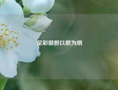 足彩做胆以胆为纲