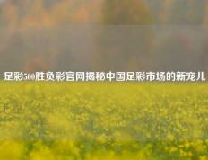 足彩500胜负彩官网揭秘中国足彩市场的新宠儿
