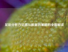 足彩分析方法图从数据到策略的全面解读