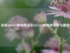 足彩2016197期预测足彩2016197期预测分析与展望