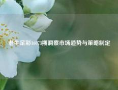 老牛足彩16073期洞察市场趋势与策略制定
