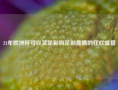 21年欧洲杯可以买足彩吗足彩竞猜的狂欢盛宴