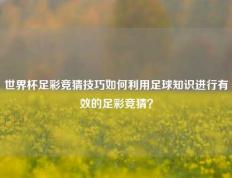 世界杯足彩竞猜技巧如何利用足球知识进行有效的足彩竞猜？