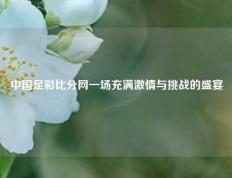 中国足彩比分网一场充满激情与挑战的盛宴