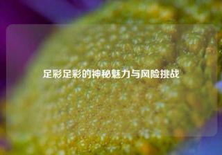 足彩足彩的神秘魅力与风险挑战