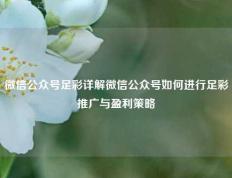微信公众号足彩详解微信公众号如何进行足彩推广与盈利策略