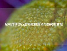 足彩竞猜凹凸走势把握波动与趋势的智慧