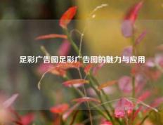 足彩广告图足彩广告图的魅力与应用