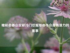 唯彩会姜山足彩冷门挖掘那些小众却有潜力的赛事