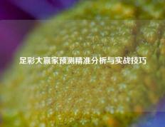 足彩大赢家预测精准分析与实战技巧