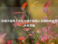 中国大陆网上足彩中国大陆网上足彩的现状与未来发展