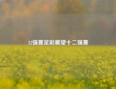 12强赛足彩展望十二强赛