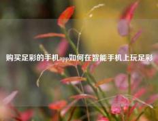 购买足彩的手机app如何在智能手机上玩足彩