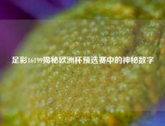 足彩16199揭秘欧洲杯预选赛中的神秘数字