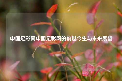 中国足彩网中国足彩网的前世今生与未来展望