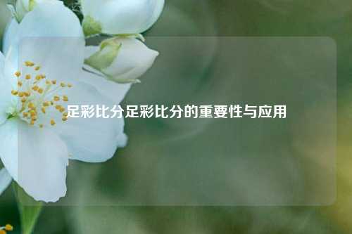 足彩比分足彩比分的重要性与应用
