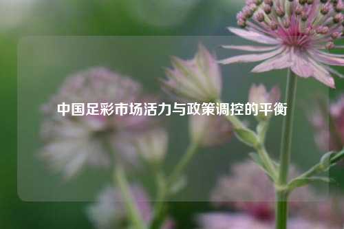 中国足彩市场活力与政策调控的平衡