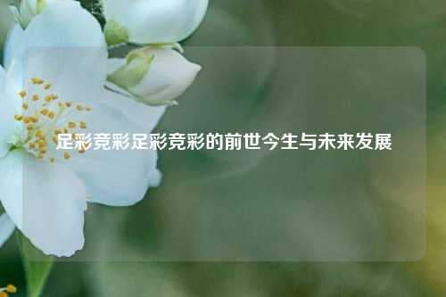 足彩竞彩足彩竞彩的前世今生与未来发展