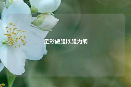 足彩做胆以胆为纲