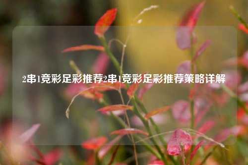 2串1竞彩足彩推荐2串1竞彩足彩推荐策略详解