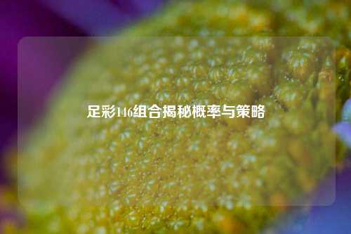 足彩146组合揭秘概率与策略