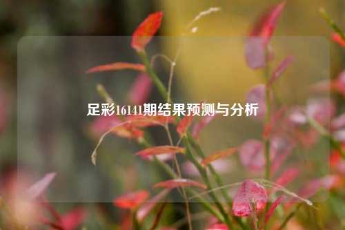 足彩16141期结果预测与分析