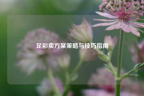 足彩卖方案策略与技巧指南