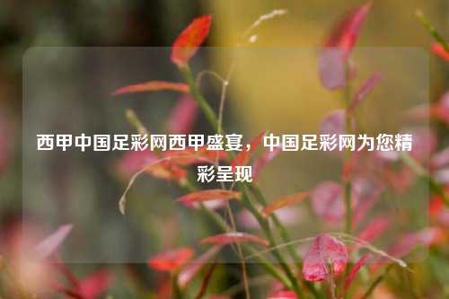 西甲中国足彩网西甲盛宴，中国足彩网为您精彩呈现