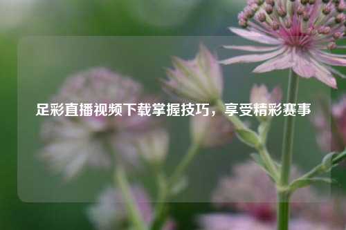 足彩直播视频下载掌握技巧，享受精彩赛事
