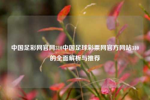 中国足彩网官网310中国足球彩票网官方网站310的全面解析与推荐