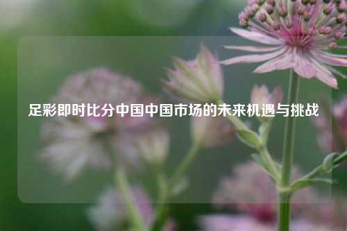 足彩即时比分中国中国市场的未来机遇与挑战