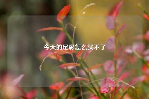 今天的足彩怎么买不了