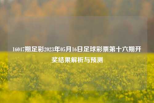 16047期足彩2023年05月16日足球彩票第十六期开奖结果解析与预测
