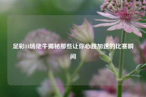 足彩14场佬牛揭秘那些让你心跳加速的比赛瞬间