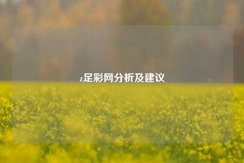 z足彩网分析及建议