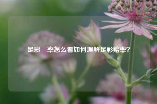 足彩賠率怎么看如何理解足彩赔率？
