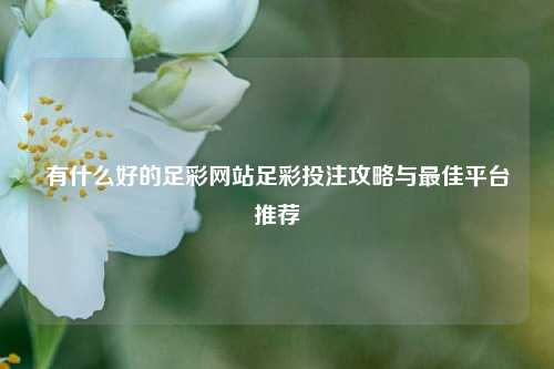 有什么好的足彩网站足彩投注攻略与最佳平台推荐