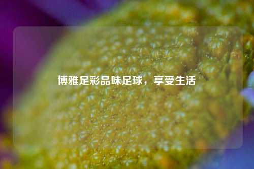 博雅足彩品味足球，享受生活