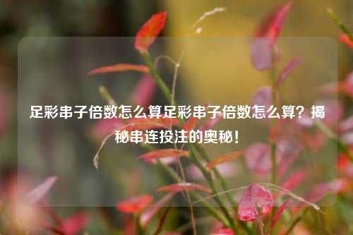 足彩串子倍数怎么算足彩串子倍数怎么算？揭秘串连投注的奥秘！