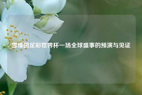 雪缘园足彩世界杯一场全球盛事的预演与见证