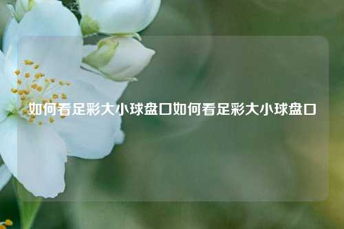 如何看足彩大小球盘囗如何看足彩大小球盘口