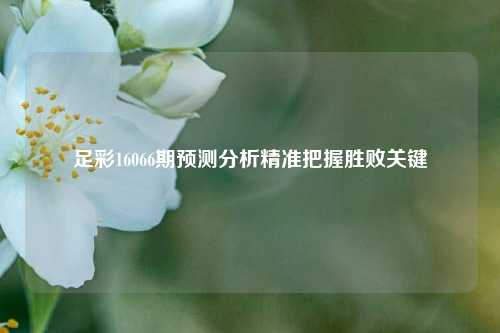 足彩16066期预测分析精准把握胜败关键
