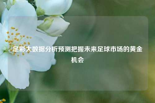 足彩大数据分析预测把握未来足球市场的黄金机会