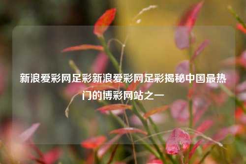 新浪爱彩网足彩新浪爱彩网足彩揭秘中国最热门的博彩网站之一