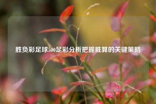 胜负彩足球500足彩分析把握胜算的关键策略