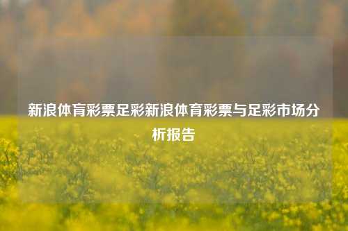 新浪体肓彩票足彩新浪体育彩票与足彩市场分析报告