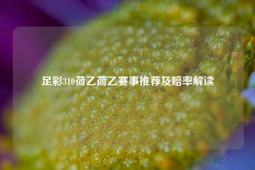 足彩310荷乙荷乙赛事推荐及赔率解读